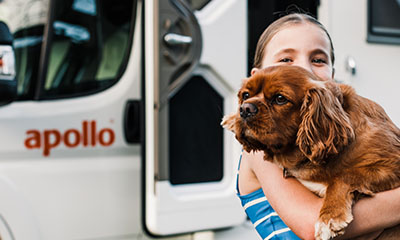 Pet friendly Pet friendly